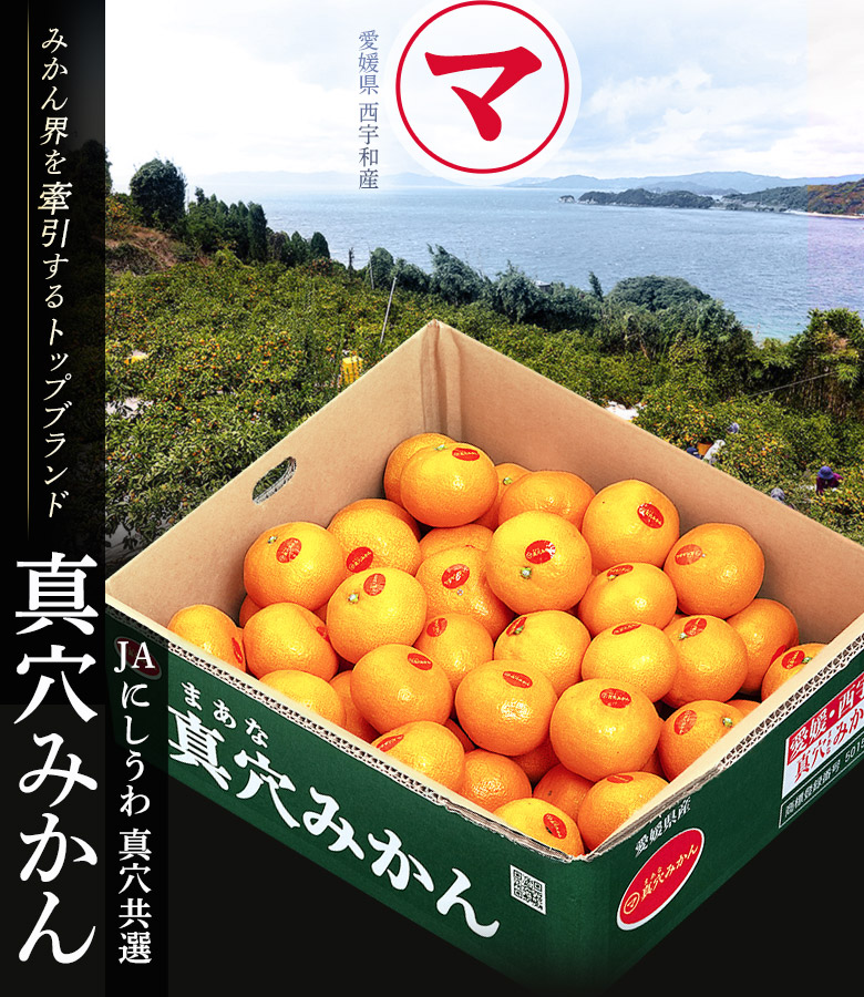 愛媛 真穴みかん規格外 10kg 大きさおまかせ 訳あり・ご家庭用