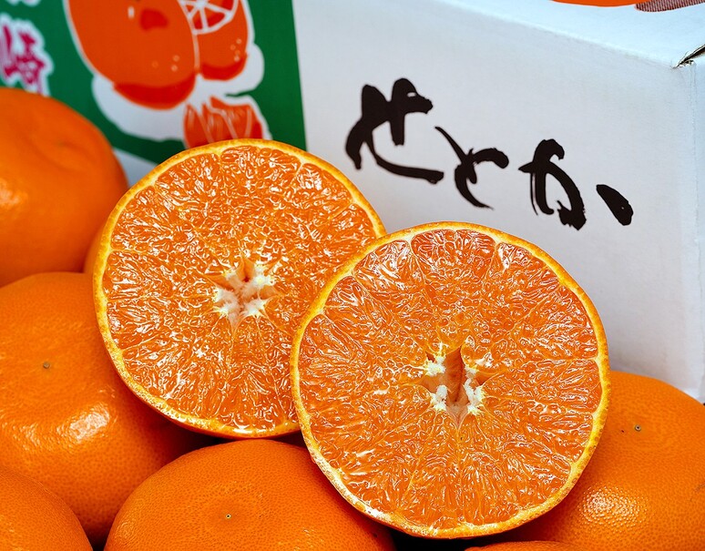 71f2N2QN0KL._AC_UF350,