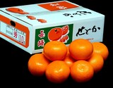 JA長崎せいひ『せとか』長崎県産 秀品 2〜4L 約3kg（8〜12玉）産地箱 風袋込 ※常温