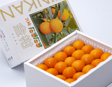 糖度16度以上 完熟金柑『たまたま』宮崎県産 秀品 2〜3L 約1kg 風袋込 化粧箱入 ※常温