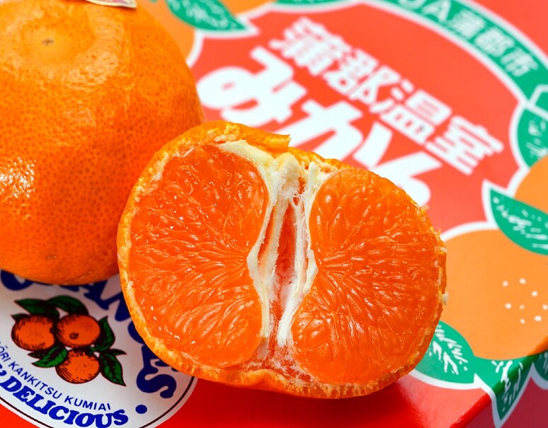 温室蒲郡みかん』愛知県蒲郡産 S〜M 秀 約1.2kg 化粧箱 風袋込 温室蒲郡みかん』愛知県蒲郡産 S〜M 秀 約1.2kg 化粧箱 風袋込