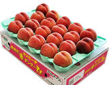 【秀品】『伊達の桃』福島県産 約5kg（13〜22玉）産地箱 ※冷蔵 JAふくしま未来