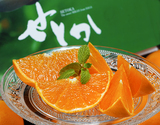 『せとか』佐賀県産柑橘 M〜Lサイズ 約2.5kg（12〜18玉）化粧箱 ハウス栽培 風袋込※常温