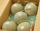 【糖度13度以上】北海道産『らいでんメロン（赤肉）』 4〜5玉 良品以上 約8kg　※常温