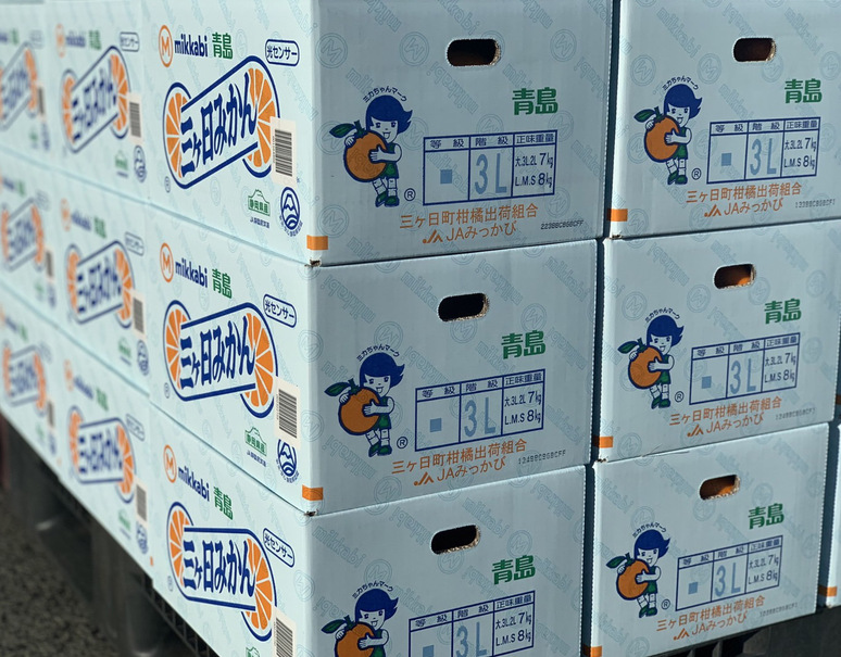 三ヶ日みかん(青島種)』静岡県産 3〜4Lサイズ 約7kg 風袋込 三ヶ日みかん(青島種)』静岡県産 3〜4Lサイズ 約7kg 風袋込