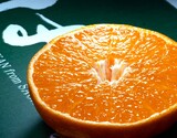 『はまさき（ご家庭用）』佐賀県JAからつ産 柑橘 品種：麗紅 サイズ不揃い 約2.5kg 簡易箱 ※常温