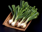 『葉付のサラたまちゃん（新たまねぎ）』熊本県産 10玉（目安：風袋込み約2.5kg）簡易包装 ※常温