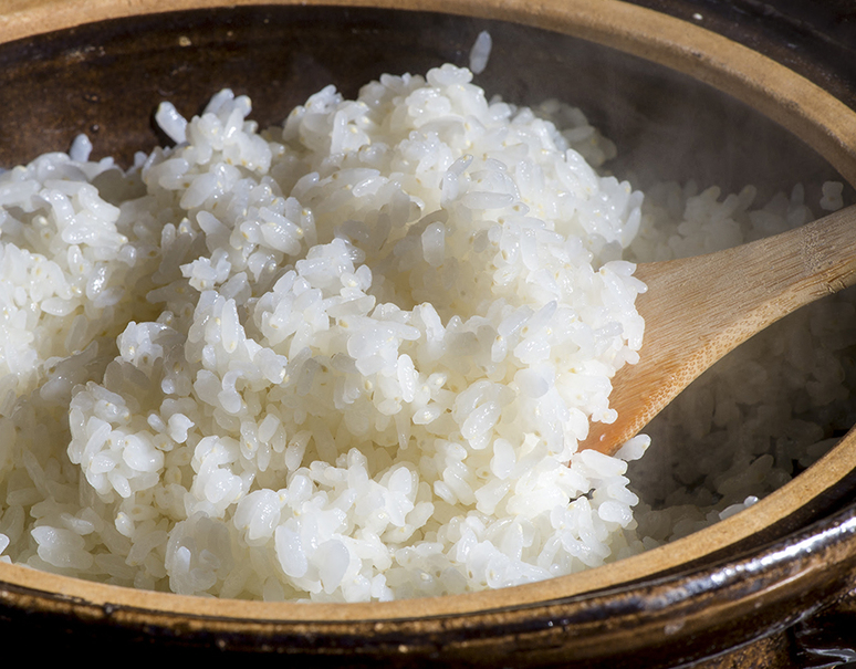 令和6年度産】『龍の瞳(いのちの壱) 』岐阜県産 精米 約5kg×2袋 令和6年度産】『龍の瞳(いのちの壱) 』岐阜県産 精米 約5kg×2袋
