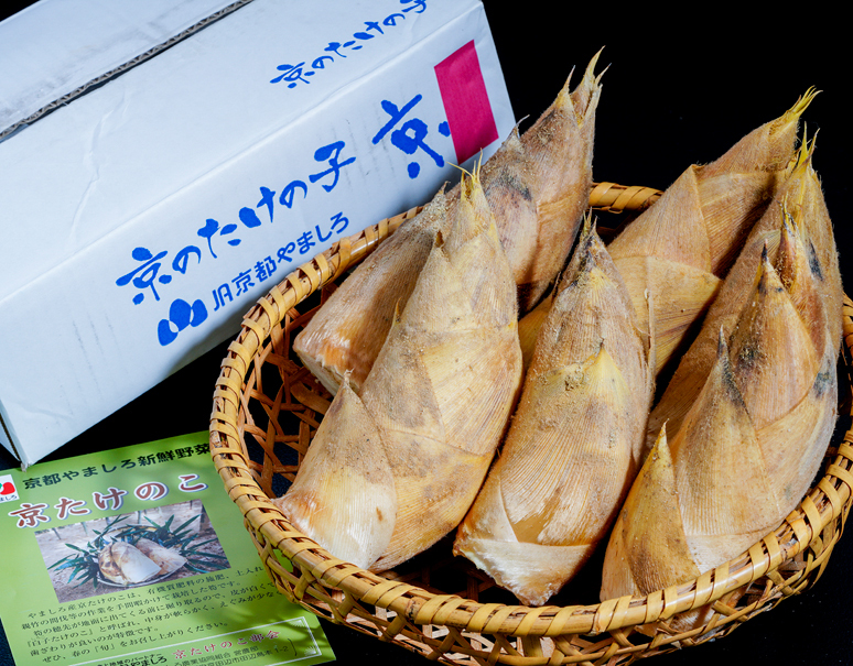 特選】『白子たけのこ』 京都山城産 筍 中〜小（8〜11本目安