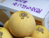 『白井一夫さんの ゴールドメロン』 茨城県産 3〜4玉入 風袋込約5kg 3〜4Ｌサイズ※常温　