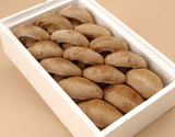 『生しいたけ（菌床）』 約500g 1箱（目安：10〜18個）岩手・山形・徳島県産ほか　※常温
