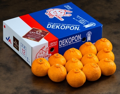 糖度14度以上『プレミアム デコポン』熊本県産 2〜5L 約3kg (7