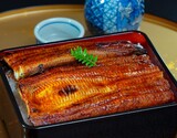 『若うなぎの蒲焼』鹿児島県産 特大10尾セット （1尾：約160g）山椒・たれ10P付き 築地魚力 ※冷凍