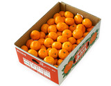 『温室蒲郡みかん』愛知県産 JA蒲郡市 S〜2S 約5kg（目安60〜80個程度） 産地箱 ※冷蔵