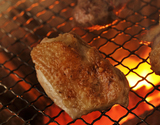 【GI産品】食べ比べ！『東京しゃも（オス・メス 各半羽）』正肉(モモ・ムネ・ささみ・手羽)、内臓・ガラなし ※冷蔵