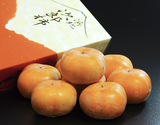 ハウス栽培『浜北次郎柿』静岡県産 秀品 約2kg(8〜9玉) 化粧箱 ※常温 JAとぴあ浜松