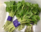『花わさび』 静岡県産 1束（約100g） ※冷蔵 政義