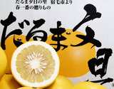 『だるま文旦』高知県宿毛産 柑橘 L〜2L 約4.5kg 簡易箱  ※常温　