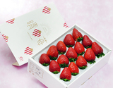 『晴苺』 岡山県産 いちご 約450g （9〜15粒） 化粧箱入り ※冷蔵