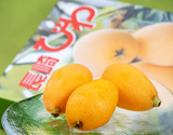 『長崎びわ』長崎県産 L〜2L 約500g×2箱 (1箱：9〜12玉）化粧箱 ※冷蔵