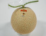 『ヴェロッサメロン』 赤肉（アールスヴェロッサ:萩原農場開発品種） 高知県産 生産者：野瀬康生 1玉 約1.5kg 簡易包装 ※常温