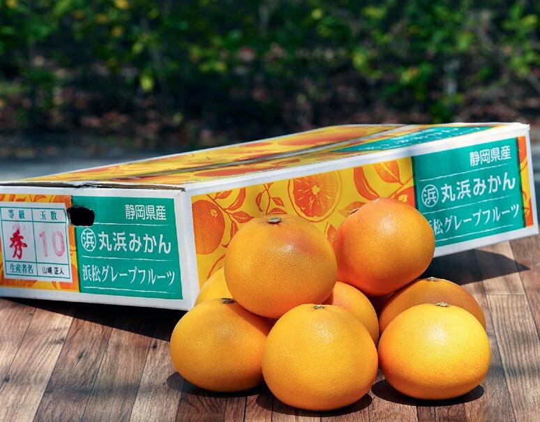 とろける味わいご褒美 ピンクグレープフルーツ 12個 たらみ
