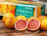 『国産グレープフルーツ（スタールビー）』静岡県産 柑橘 秀 約3.5kg（7〜10玉）産地箱 風袋込 ※常温