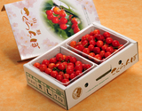 『佐藤錦』山形県産 露地さくらんぼ Lサイズ 秀品 約700g（約350ｇ×2P）※冷蔵【産地直送】