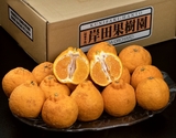 【正規品】 M〜L 岸田果樹園 樹上熟成『しらぬひ』 大分県産 約2.7kg （15〜18玉）※冷蔵
