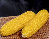 『サニーショコラ』愛知県産 とうもろこし 約3kg（8〜12本）※冷蔵 JA愛知みなみ