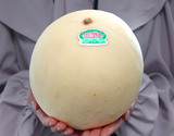 特大『場外ホームランメロン』熊本県 2玉 風袋込　計約4.2kg 産地箱  JA阿蘇 ※常温