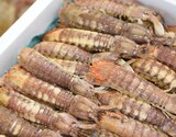 『ボイルしゃこ（殻付き）』 宮城県産 約300g ※冷蔵 三清