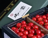 ≪農林水産大臣賞受賞≫山形県産 さくらんぼ佐藤錦 「jondaフルーツの極実(きわみ)」 大粒2Lサイズ 1箱（約350g×2P）※冷蔵