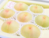 『総社もも生産組合の桃（白桃または黄桃）』岡山県産 約2kg（4〜9玉）化粧箱 ※常温 品種はお任せ 【岡山フェア】
