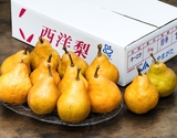 大玉『オーロラ』山形県産西洋梨 特選・特秀品 約5kg（10〜14玉）産地箱 風袋込 ※常温