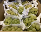 『黄玉(おうぎょく)』長野県産ぶどう 秀 2房 計約1kg 簡易箱 ※冷蔵