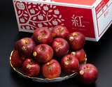 『紅いわて』岩手県産りんご 特UP 約5kg（14〜20玉）簡易箱 ※冷蔵