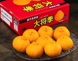 『大将季』鹿児島県産 柑橘 秀 約3kg（８〜12玉）化粧箱 風袋込 ※常温