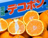糖度13度以上『三崎のデコポン』愛媛県産 優〜秀 L〜2L 約5kg（20〜24玉）産地箱 風袋込 JAにしうわ ※常温