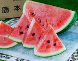 『スイカ』熊本県産JA鹿本 秀品 Sサイズ 1玉 約4kg 簡易箱 ※冷蔵