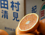 『田村出荷組合の清見オレンジ』　和歌山県有田産　赤秀品　約10kg（L-4L）サイズ　※常温　