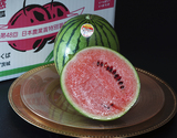 JA北つくば 『小玉すいか スウィートキッズ』 茨城県産 2玉 計約4kg  簡易箱 ※冷蔵