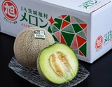 糖度14度以上 JA旭村『青肉メロン（品種：アンデス、オトメなど）』茨城県産 秀 2玉 計約1.4kg 簡易箱 ※常温