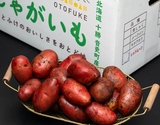 『レッドムーン』北海道産じゃがいも S 約10kg 産地箱 風袋込 ※常温