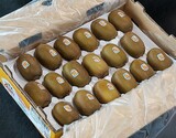【特大】『ゼスプリ ゴールドキウイ』ニュージーランド産  約3.2kg（16〜18玉） ※常温