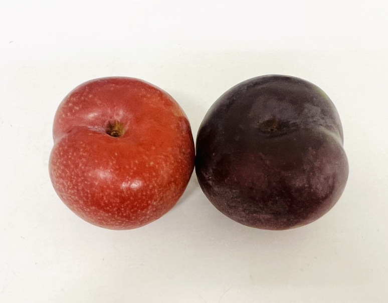 JAあまみ『奄美プラム』鹿児島県産 秀 L〜2L 約3kg 産地箱 風袋