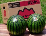 『松本ハイランドすいか』長野県産 A Lサイズ 2玉（1玉 約6kg） 産地箱 風袋込 ※冷蔵