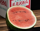 『菅野貴広さんの大玉 尾花沢すいか』山形県産 1玉4〜5L（9kgUP） 秀品 産地箱 ※冷蔵