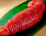 特選 『生筋子』北海道産 約300g（目安として1〜2腹） ※冷蔵 三清