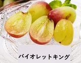『バイオレットキング』山梨県産ぶどう 秀 1房 500〜600g 簡易箱 ※冷蔵